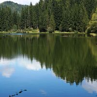 Auerlingsee