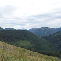 Steig am Rückweg
