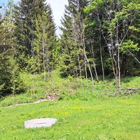 nahe Wipfelmäuer
