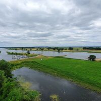Blick von der Aussichtsplattform in der Hansestadt Arneburg in die Elbauen