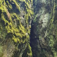 Pöyhiänniemen Naturpfad