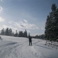 Wechsel-Panoramaloipe