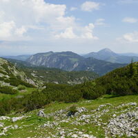 der Bärenleitenkogel mit dem Ötscher im Hintergrund