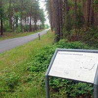 Historische Landwehr bei Schafwedel