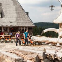 Bei der Baldenweger Hütte