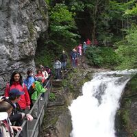 Trefflingfall