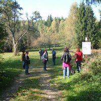 Zwergohreulenwanderweg