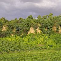 Wagram Neun-Monna