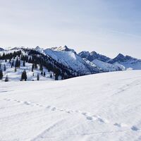 Schneeschuhwanderung Almengebiet Brandenberg