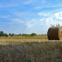 Heuernte bei Spessart