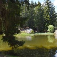 Dachlisee
