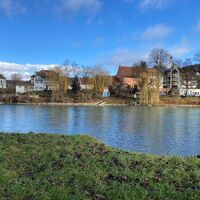 Rheinufer mit Sicht nach Kadelburg