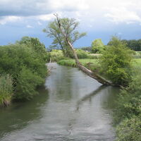 Die Aach bei der neuen Radbrücke vor Bohlingen