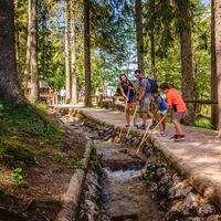 Holz triften im Holzknechtland