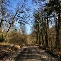 Lange Allee