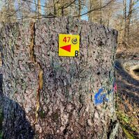 Runde B, mit ca. 7km, Tour 47