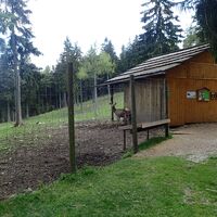 am Weg zum Wildgehege