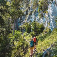 Scheffau_Jägersteig_Wilder Kaiser