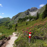 Wanderweg vom Draugsteintörl zu den Draugsteinalmen