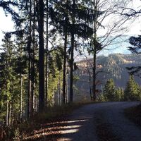Bikereindrücke