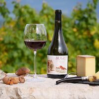 Caveau bugiste