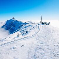 auf dem Weg nach ganz oben