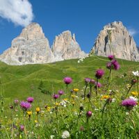 Col Rodella - Sassolungo ©Archivio APT Val di Fassa