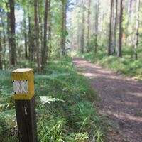 Wegmarkierung im Paistjärvi-Wandergebiet