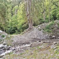 Bachquerung am Waldweg