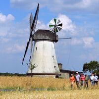 Wandern auf dem Mühlenweg am Wiehengebirge