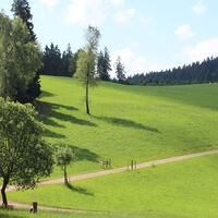 Wiesen auf der Hark