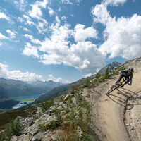 WM Flow Trail