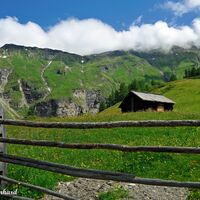 An den Berghängen kann man gut Murmeltiere, Gämsen, Bartgeier und Steinadler sowie Gänsegeier beobachten.
