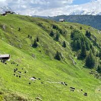 Unterwegs auf die Belalp