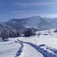 Schöner Winterwanderweg in Schetteregg