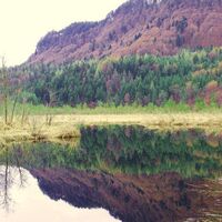 Ramsar Moor Keutschach