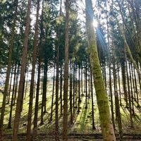 Exdorf - zur Platte