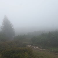 Aufstieg zum Gipfel Monte Roen