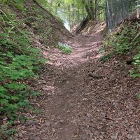 Abstieg nach Hirschhorn