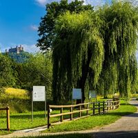 häppy der Schaukelweg Hechingen - Feilbachtal erleb-dich-pfad