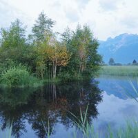 Im Naturschutzgebiet Ruggeller Riet