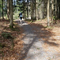 Übergang zum Herzstein