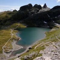 Im Schwarzsee soll ein Stier hausen
