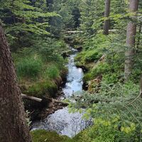 Abstieg am Seebach zur Sagwassersäge