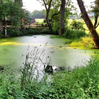 Quellteich der Lahn