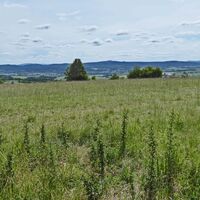 Magerrasen mit Blick ins Werratal und die Rhön