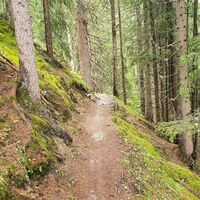 Trail