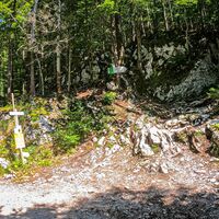 ehemaliger Ausstieg Ewige Wand zur Anzenbergstraße seit 2022 mit Stufen