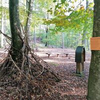 Käfer-Safari/ Rastplatz Dreimärker