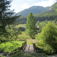 Hinternaßwald - Grenzriegel - Amaißbichl
